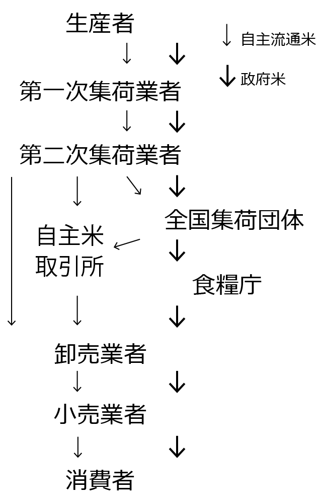図：食管法の規定する米流通経路