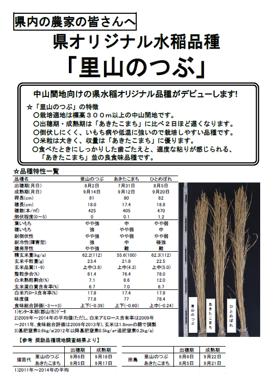 福島県オリジナル水稲品種「里山のつぶ」についてのお知らせ